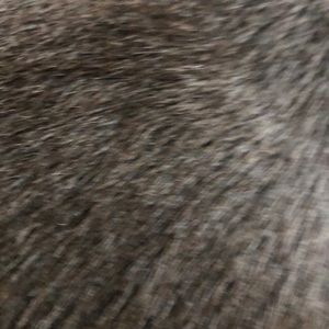 Meet your Posher, Leanne